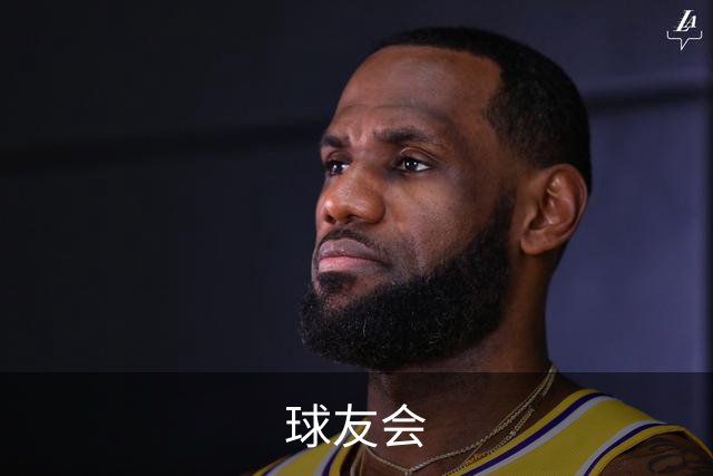 球友会公司简介图片